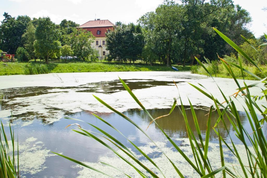 Palac Kietlin Niemcza Exterior foto